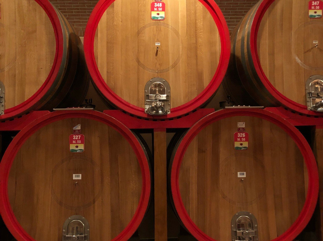 Cantina Valpolicella Negrar-维罗纳必去景点