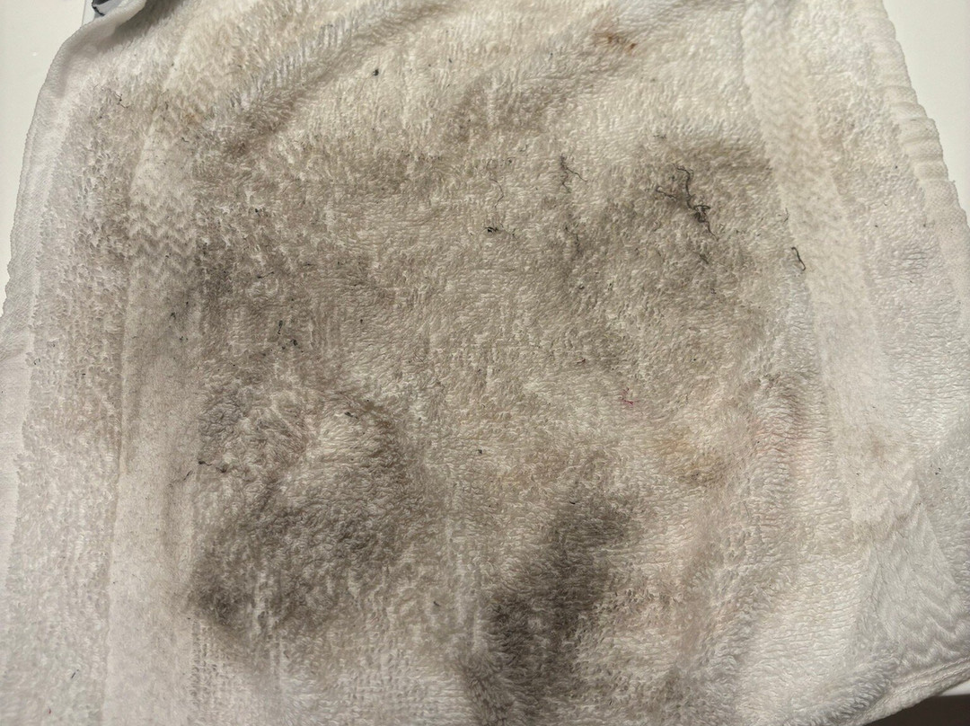 Ac Hotel Fort Lauderdale Sawgrass Mills/sunrise主图