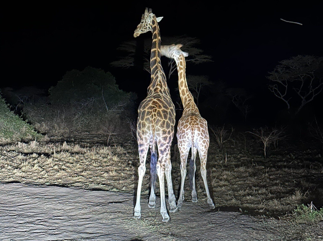 Gorilla Safari Consultants-坎帕拉必去景点