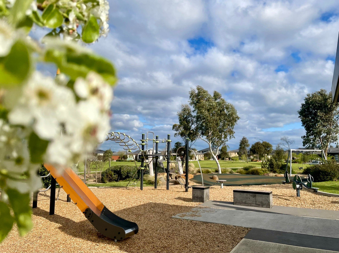 Annadale Park Playground景点图片