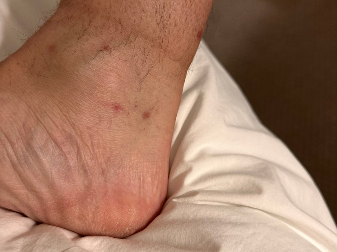 Le Méridien St. Louis Clayton主图