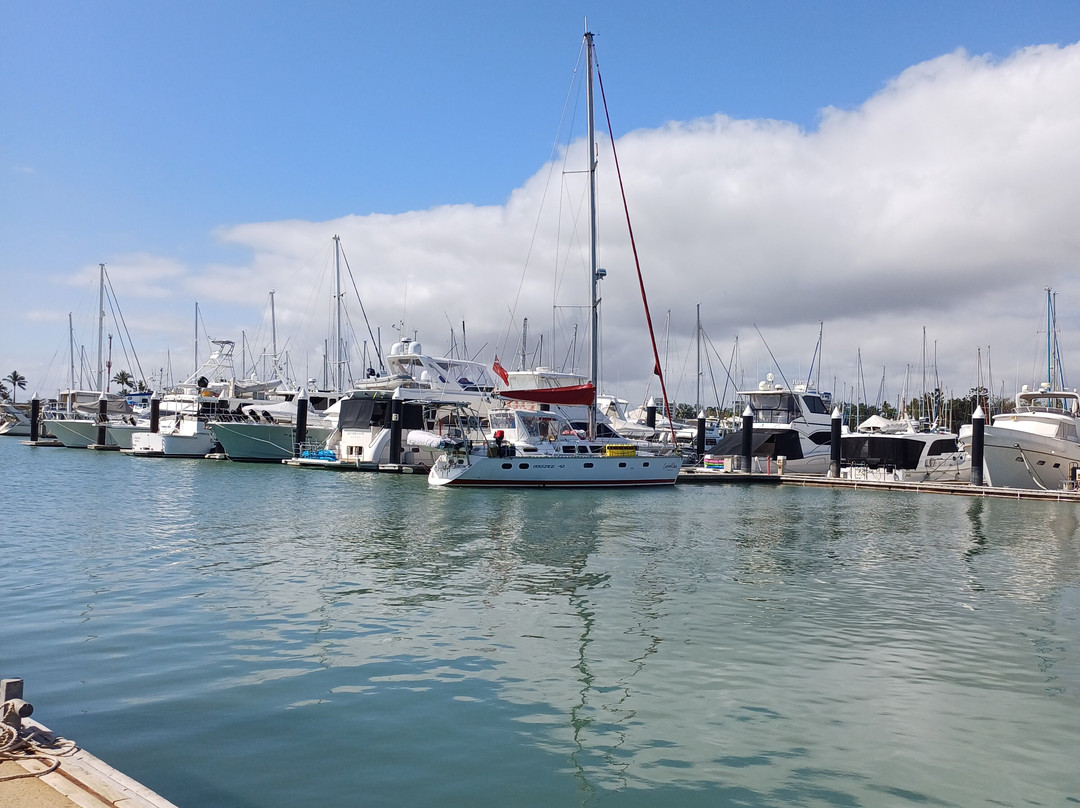 Breakwater Marina-汤斯维尔必去景点