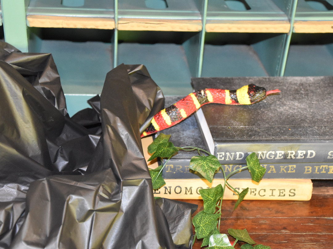 Historic RailPark & Train Museum-鲍灵格林必去景点