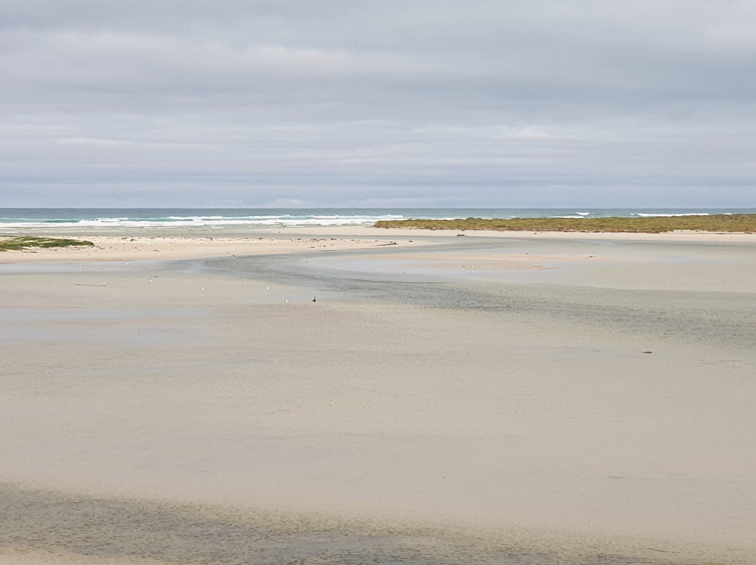 Estuary Beach景点图片