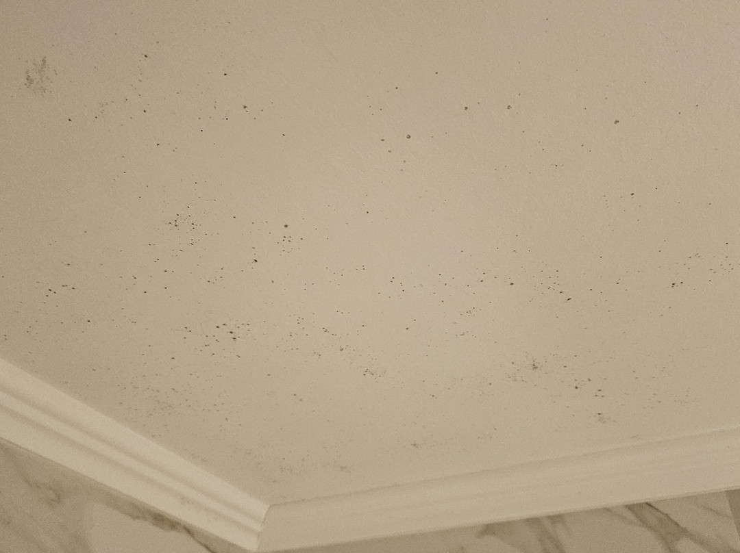 Rethymno Palace主图