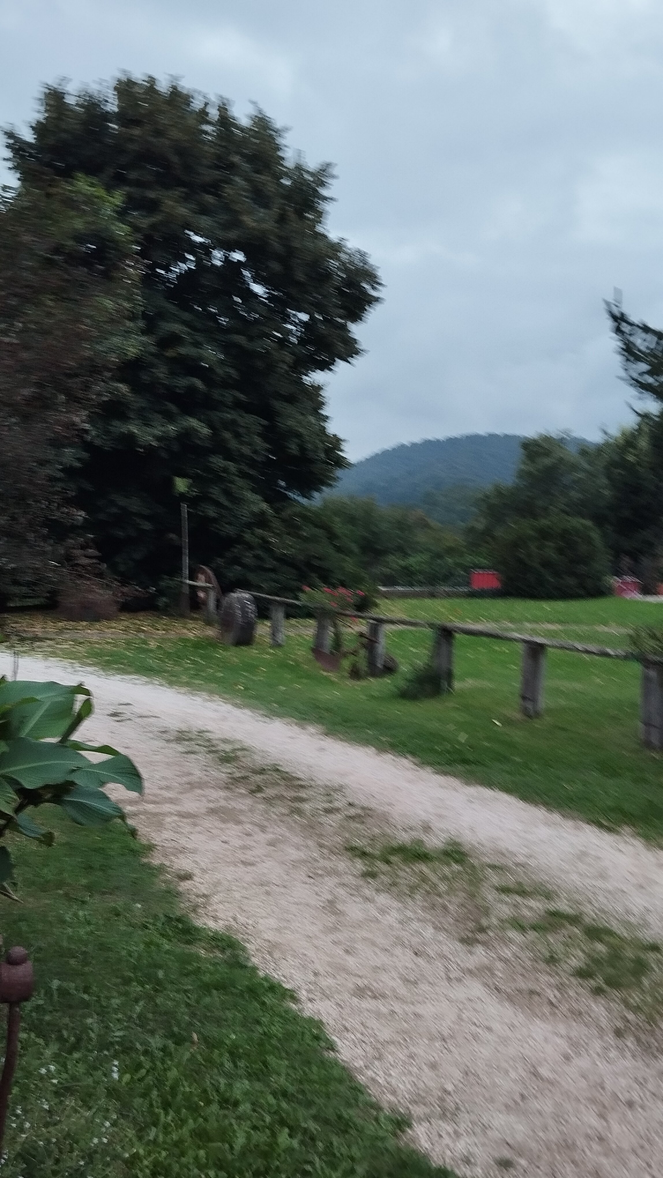 Agriturismo Castro-酒店景观