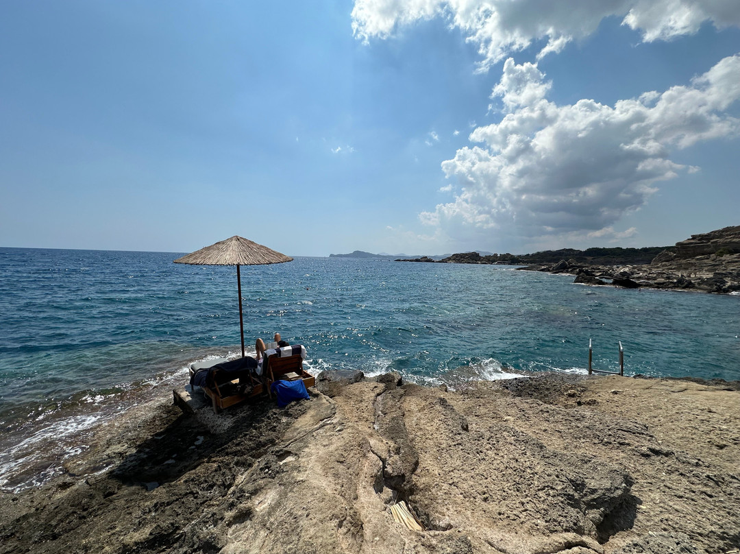 Oasis Beach景点图片
