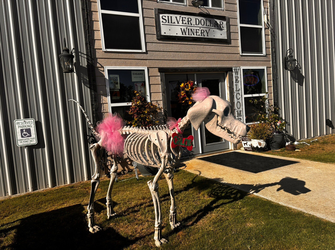 Silver Dollar Winery Hill Country-Johnson City必去景点