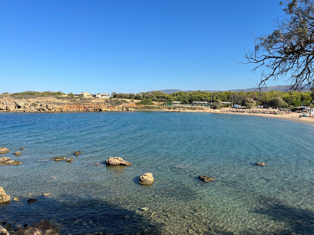 Iguana Beach景点图片