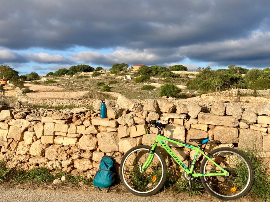 Eco Sports Malta-Bugibba必去景点