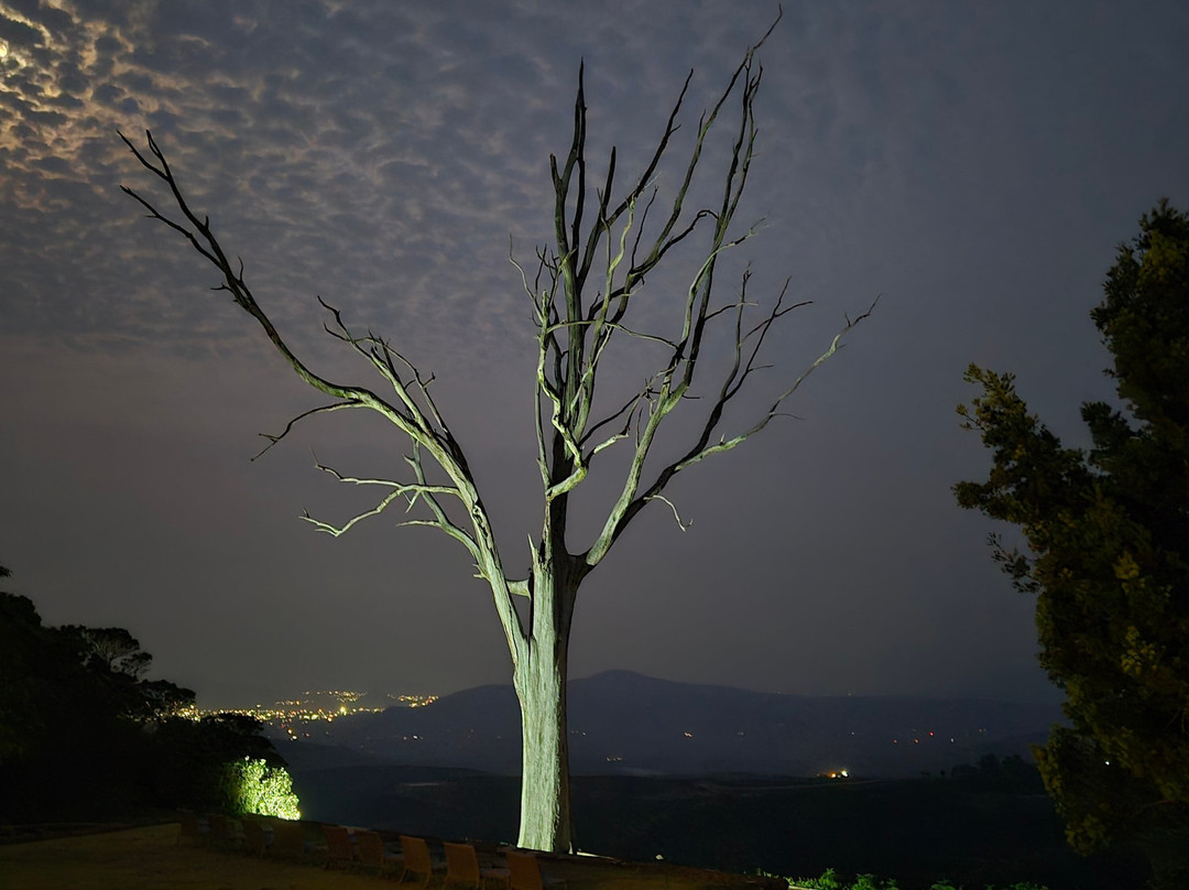 Kings Walden Garden Manor主图