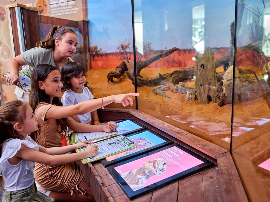 Cairns Koalas & Creatures-凯恩斯必去景点