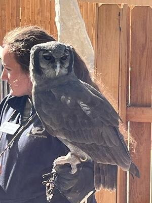 World Center For Birds of Prey-博伊西必去景点