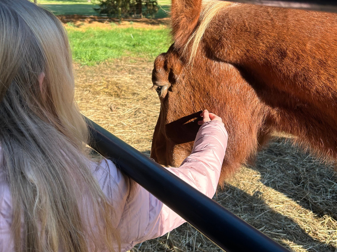Somewhere in Time Bed and Breakfast主图