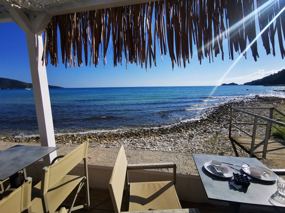 Kamelia & Semeli Hotel主图