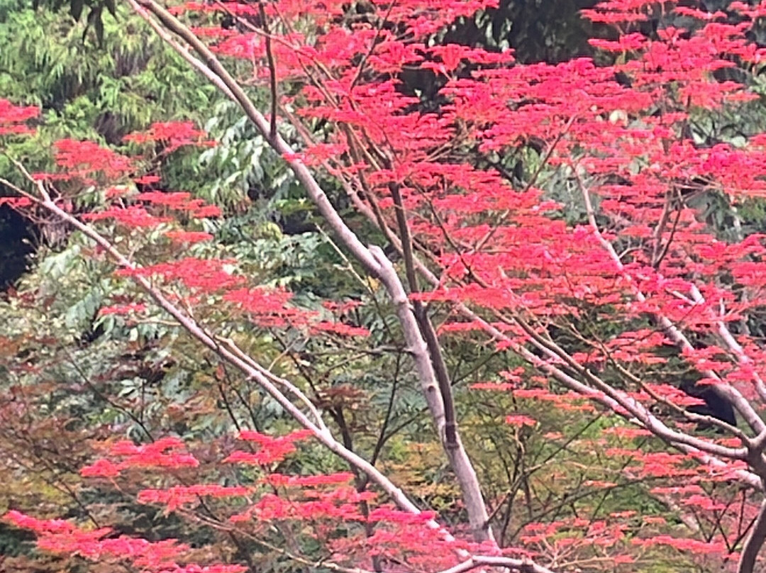 栖霞山-南京市必去景点