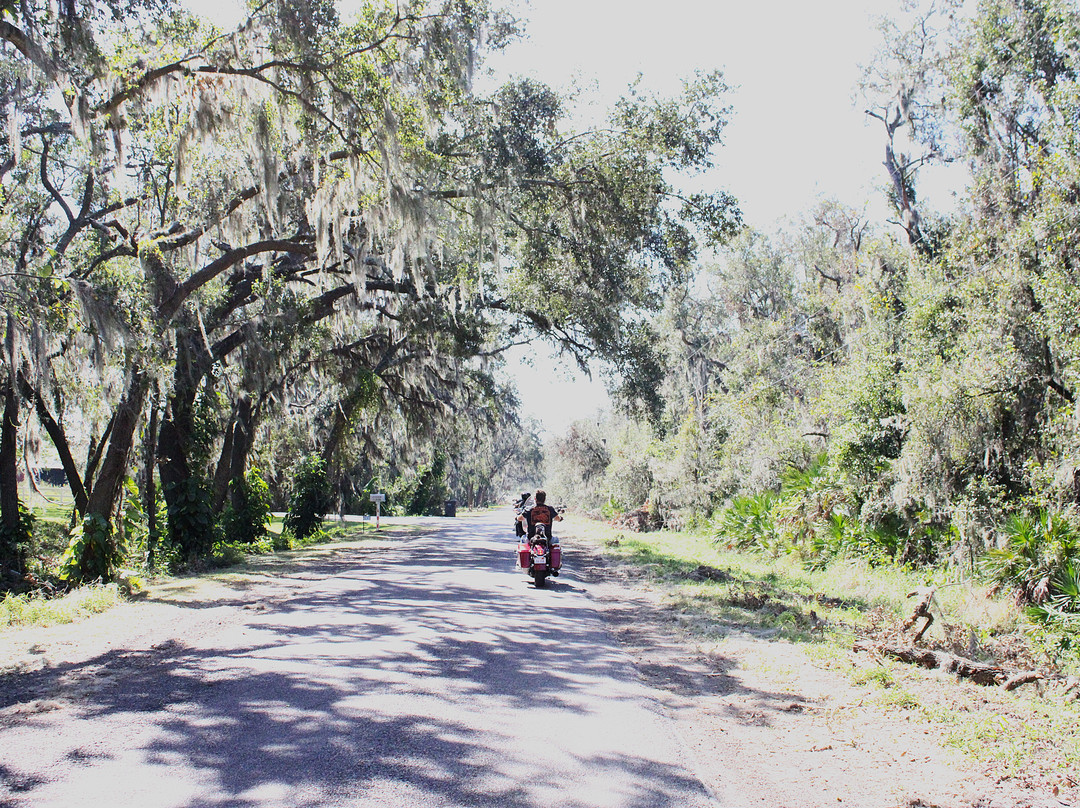 Alafia River State Park景点图片