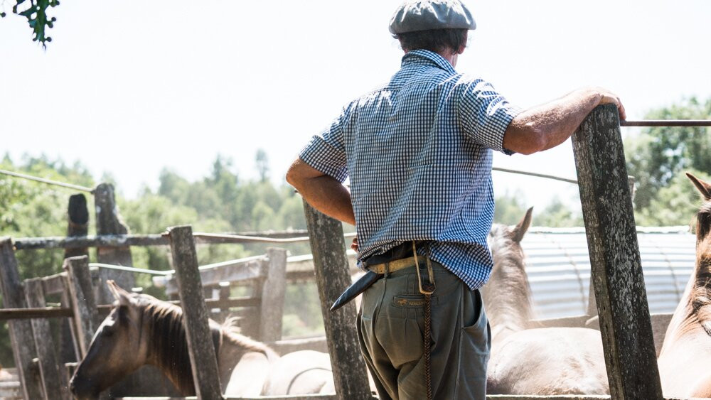 Estancia La Pilona Horse Farm