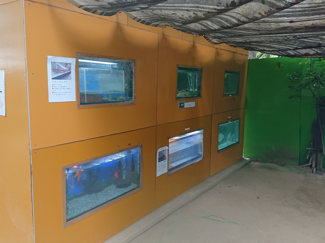 Ageo Maruyama Park Small Zoo-上尾市必去景点