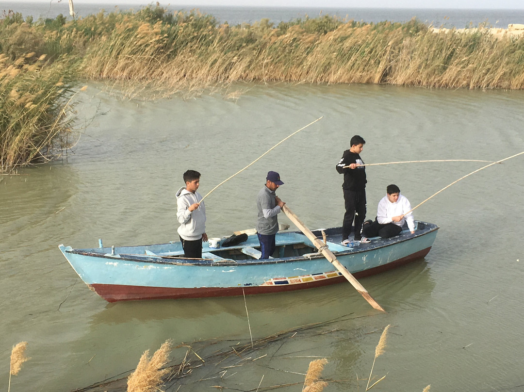 Kom El Dikka Activities