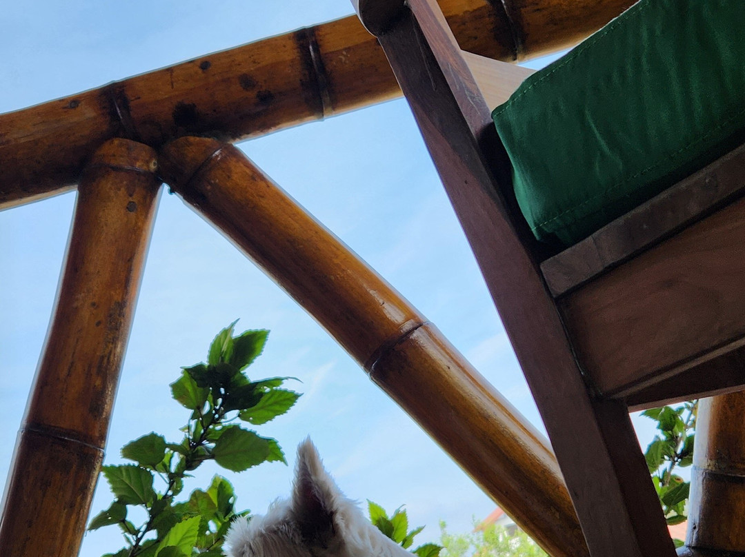 Nativa Bambu Ecolodge主图