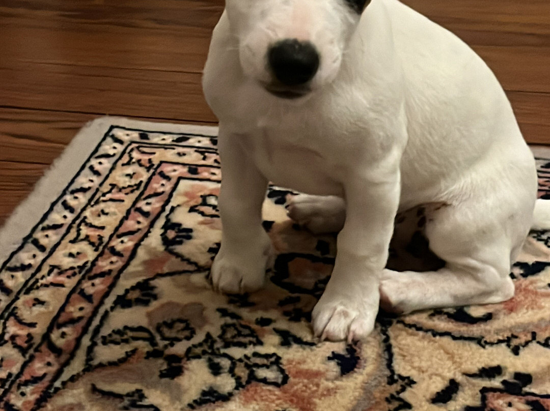 Chateau La Moune主图