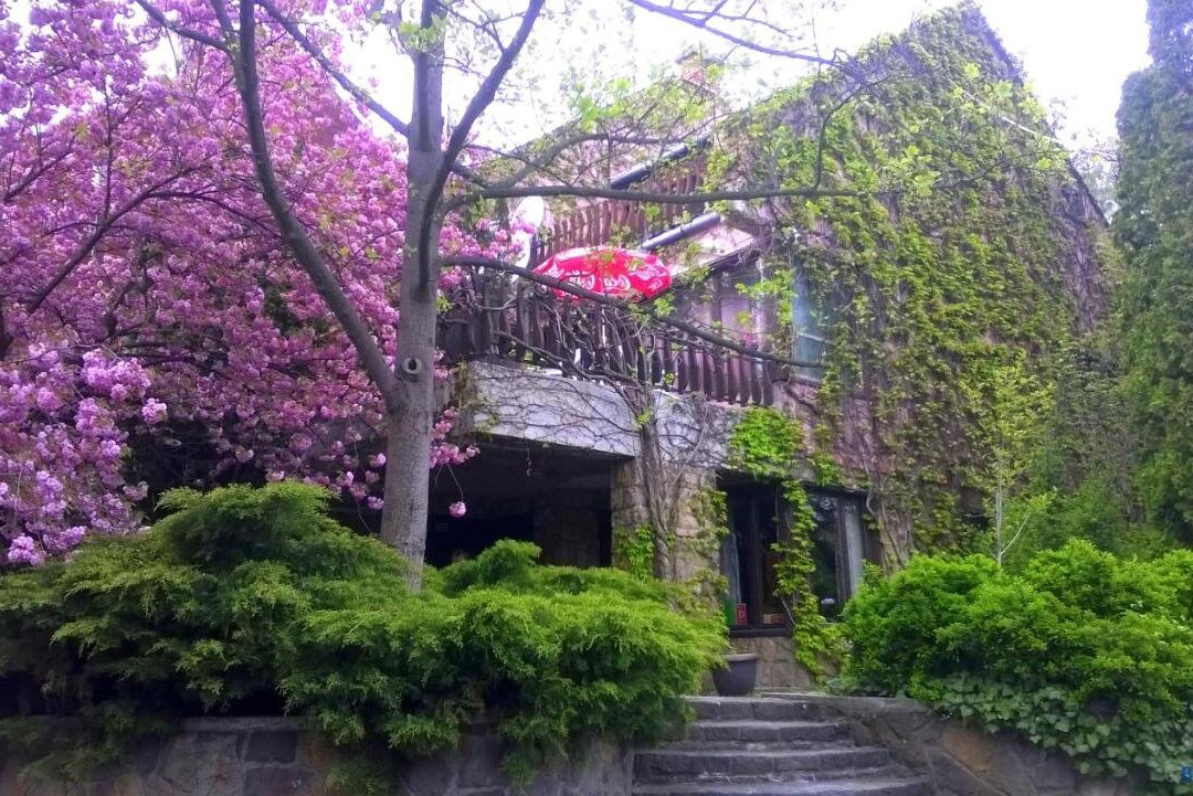 Hotel Coca-cola Panzio
