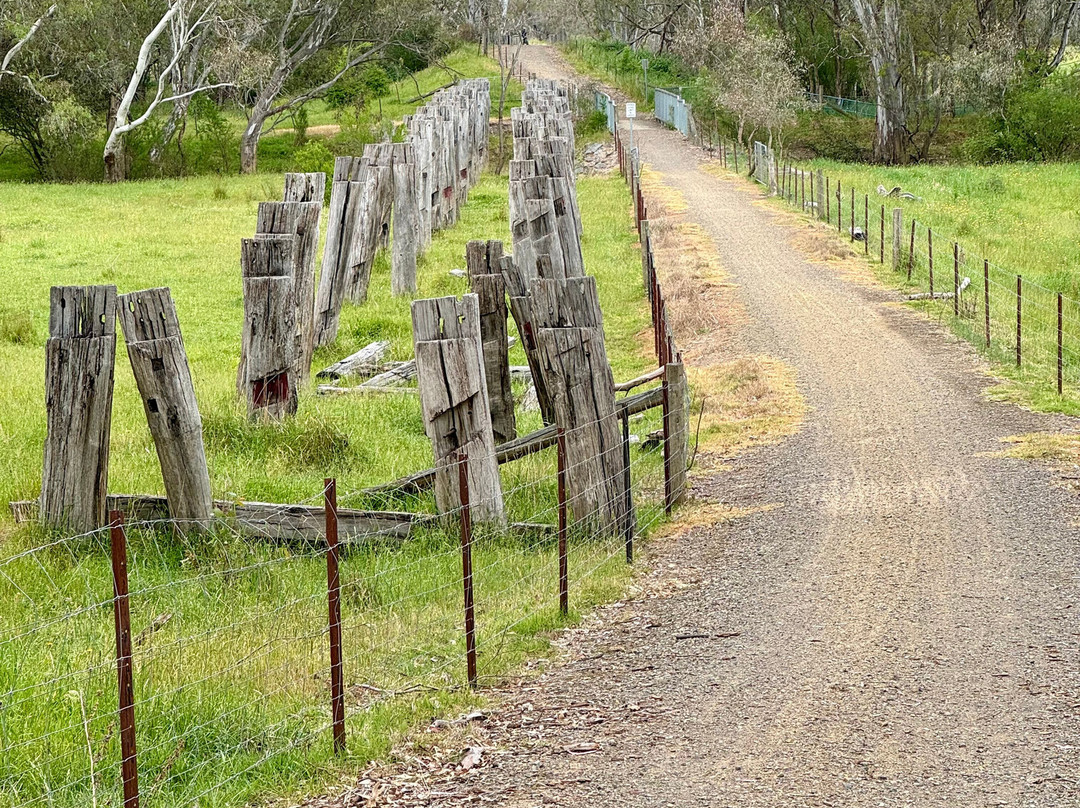 Double Black Alpine-曼斯菲尔德必去景点