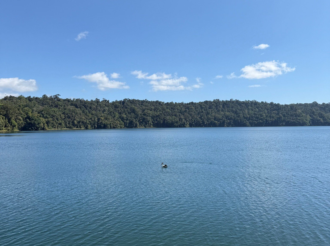Lake Barrine Tea House-Yungaburra必去景点