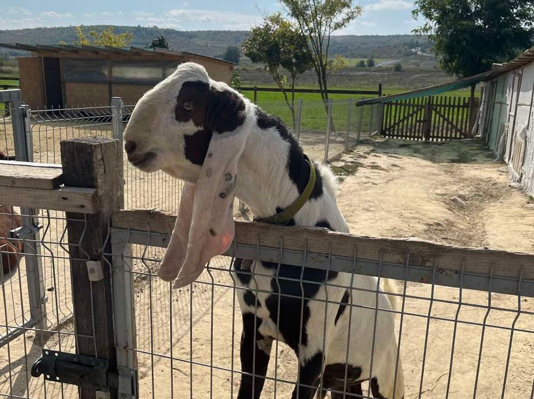 ZooClub-Bardar必去景点