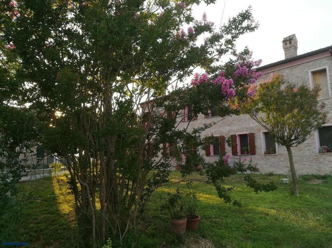 B&B Al Vecchio Noce