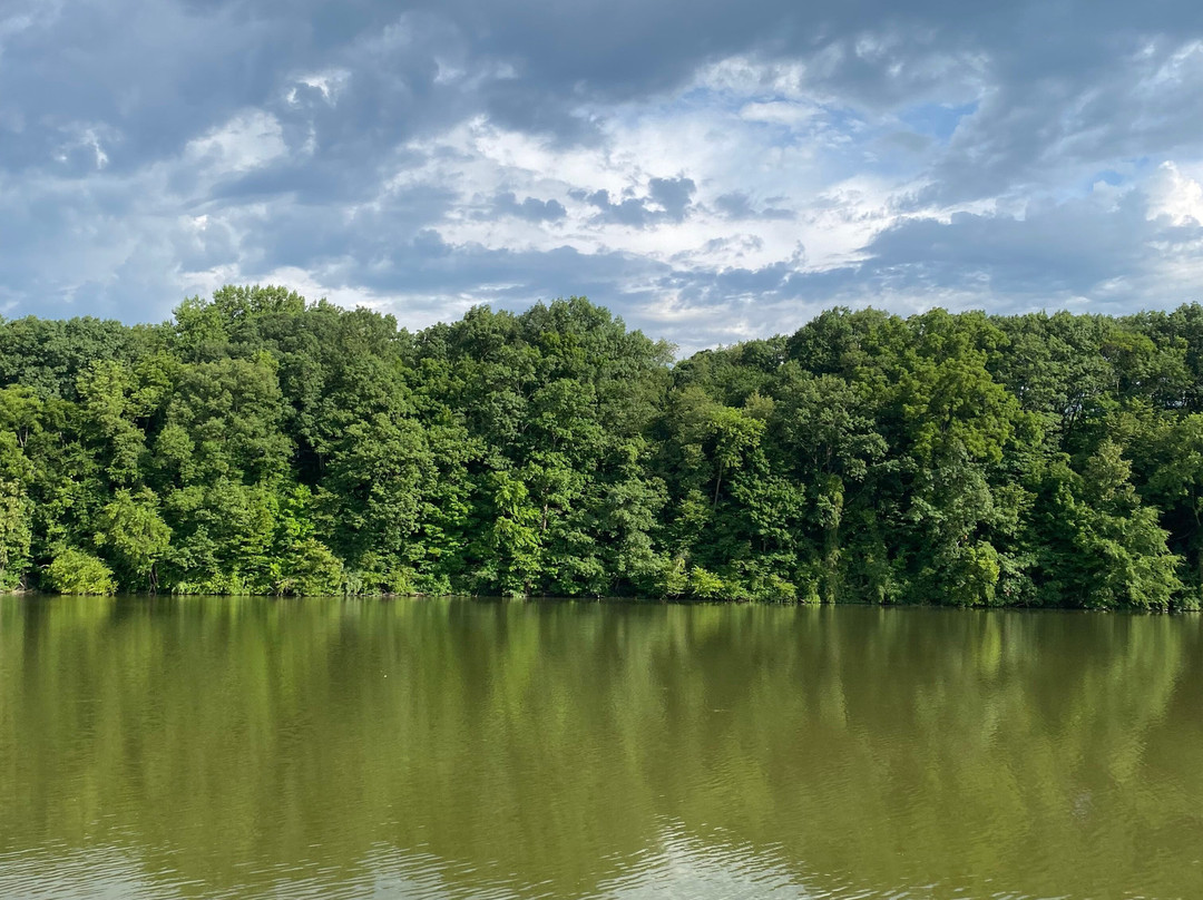Harrison Lake State Park-Fayette必去景点