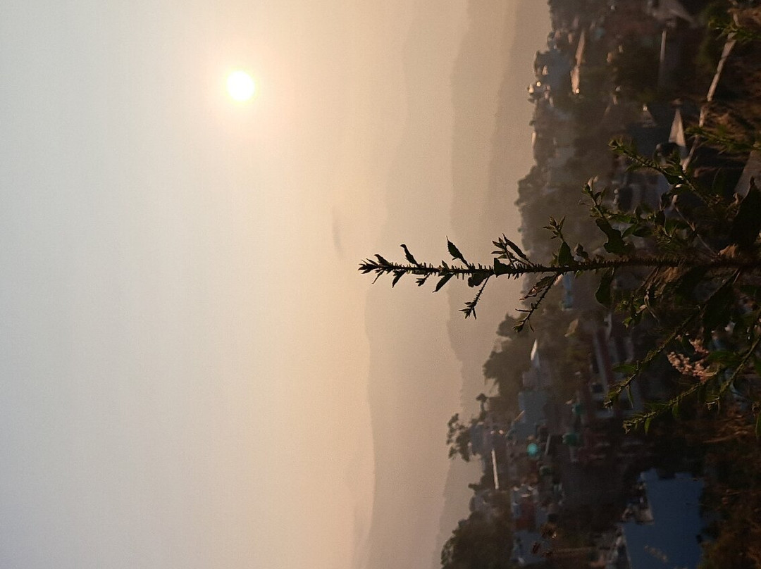 Horizon Homestay主图