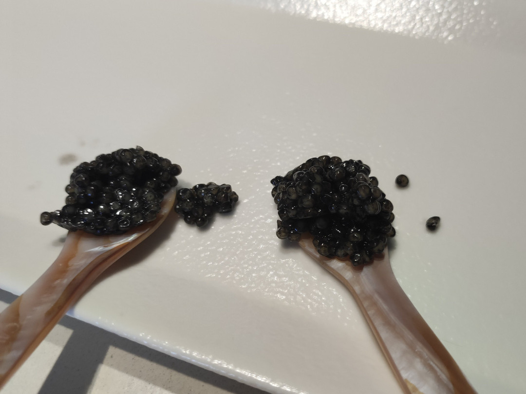 Caviar de Riofrio景点图片