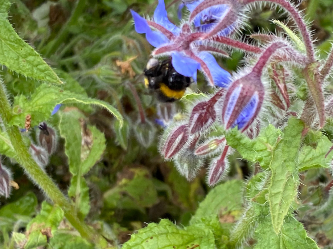 Rangitikei Farmstay主图