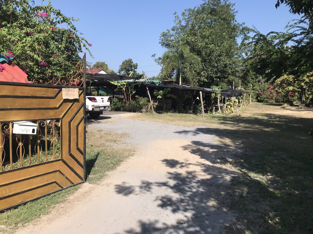 山景小屋旅馆主图