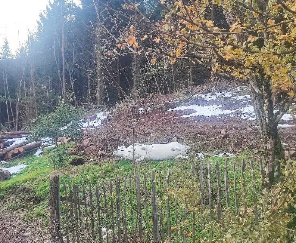 Domain Du Hirtz  Le Spa Nordique景点图片