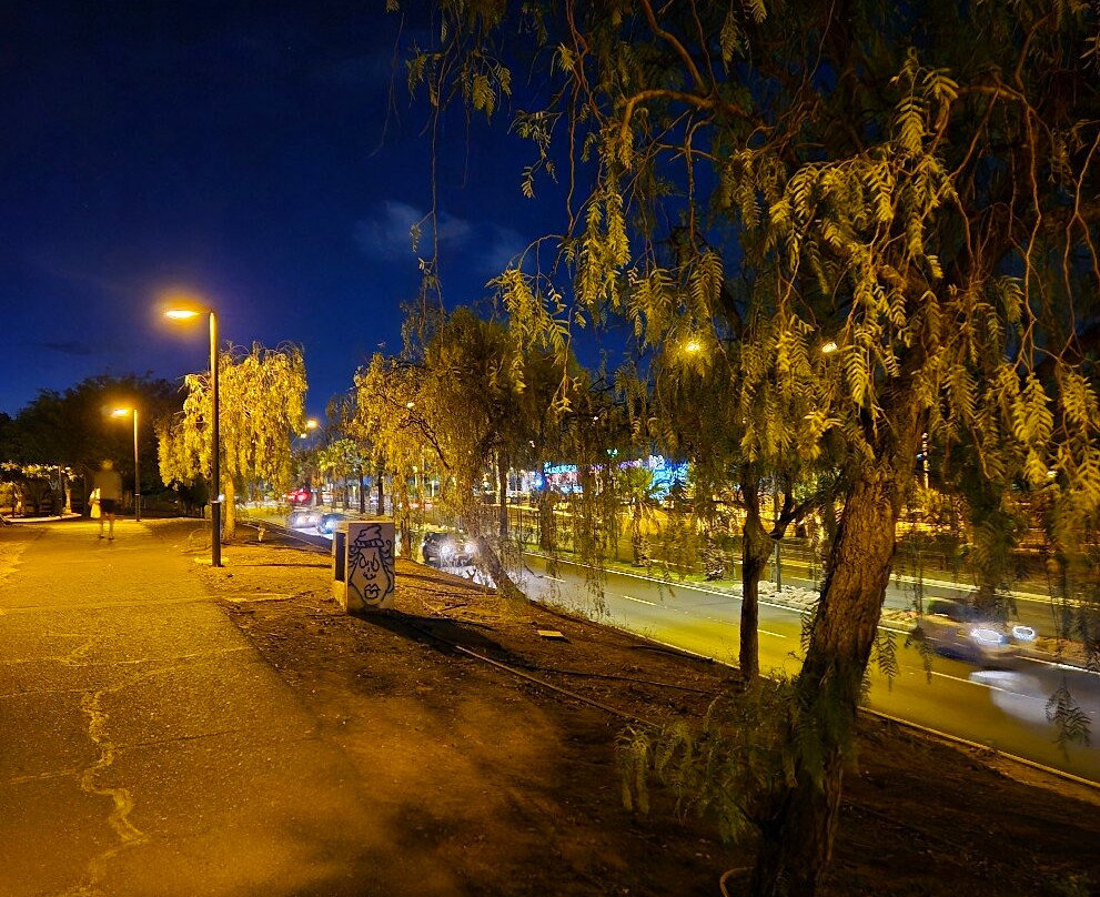 Parque Del Charco-洛斯克里斯蒂亚诺斯必去景点