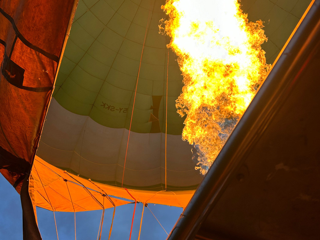 Skyship Co. Balloon Safaris景点图片