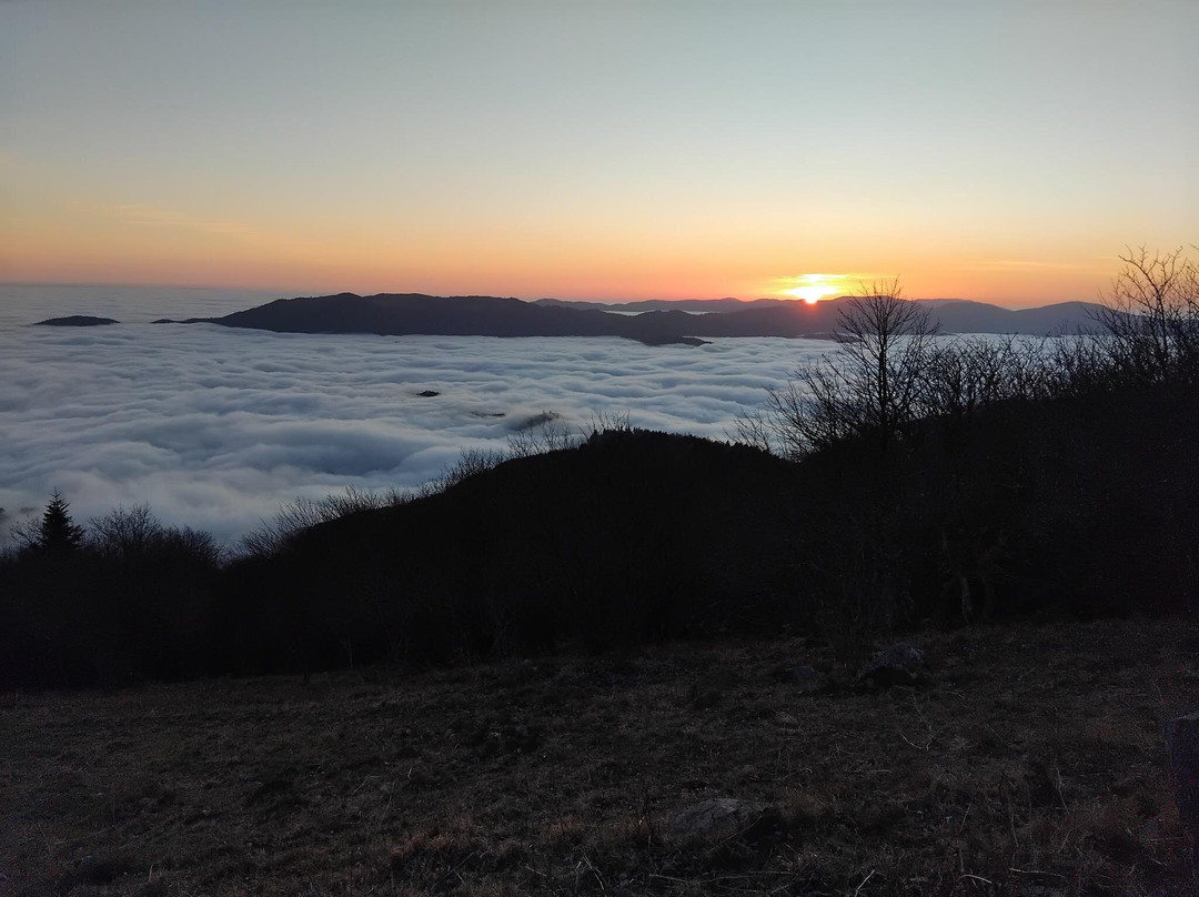 Grand Ballon-Soultz-Haut-Rhin必去景点