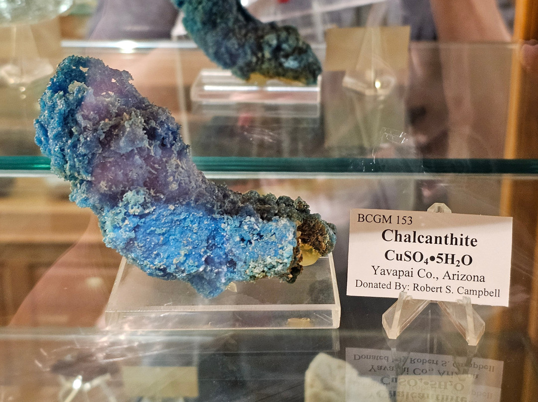 Bob Campbell Geology Museum景点图片