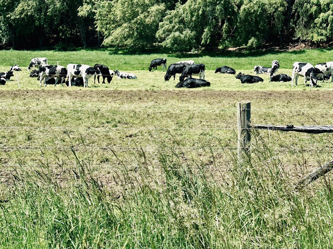 Rueda Chile-Ensenada必去景点