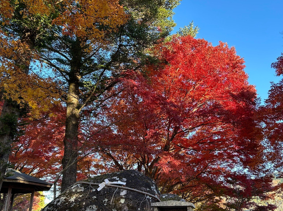 Koran Valley-丰田市必去景点