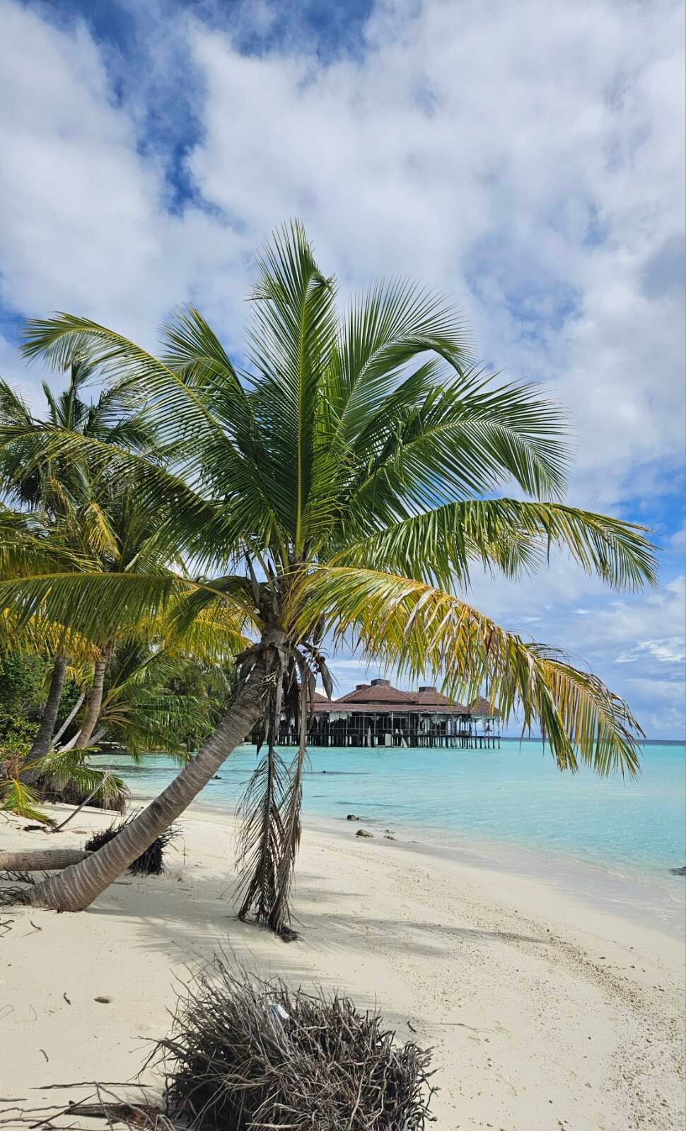 Daisy Cottage - Dhangethi-泳池