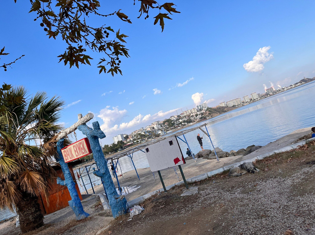 Yumurtalık Plajı景点图片
