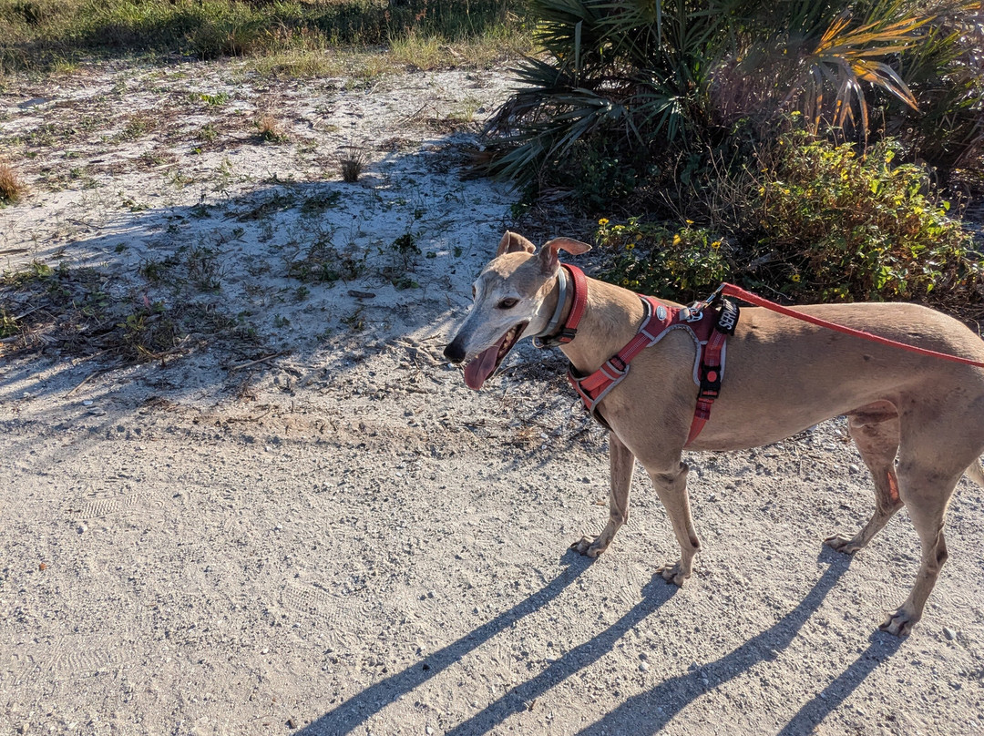Hallstrom House & Farmstead-维罗海滩必去景点