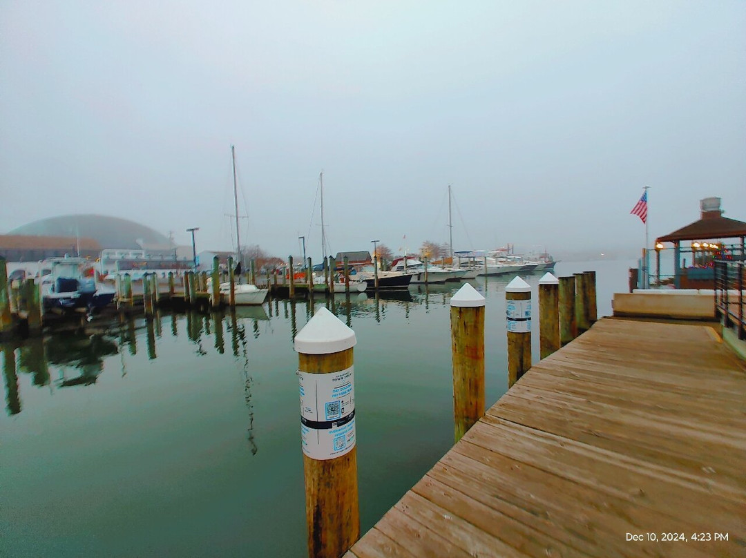 Ego Alley-安纳波利斯必去景点