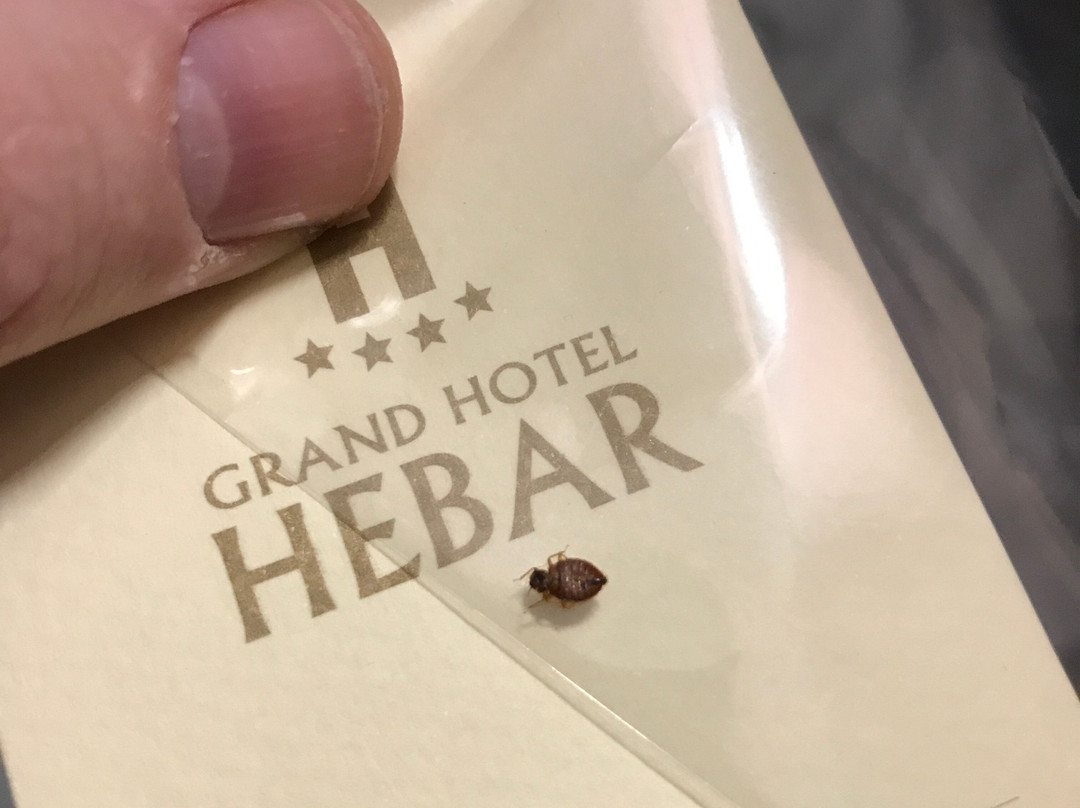 赫巴格兰酒店主图