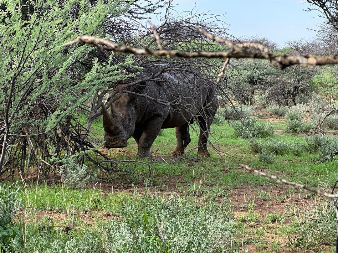 Okonjima Game Reserve-Waterberg Plateau Park必去景点