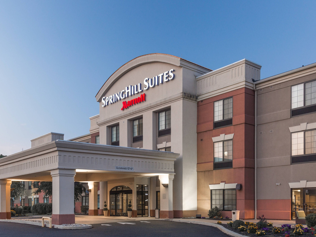 SpringHill Suites by Marriott Quakertown主图